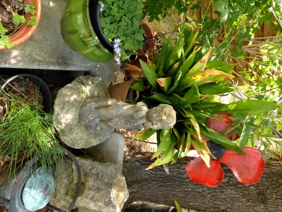 La Quietude De St Antoine - Piscine Privee Villa ลีล-ซูร์-ลา-ซอร์ก ภายนอก รูปภาพ