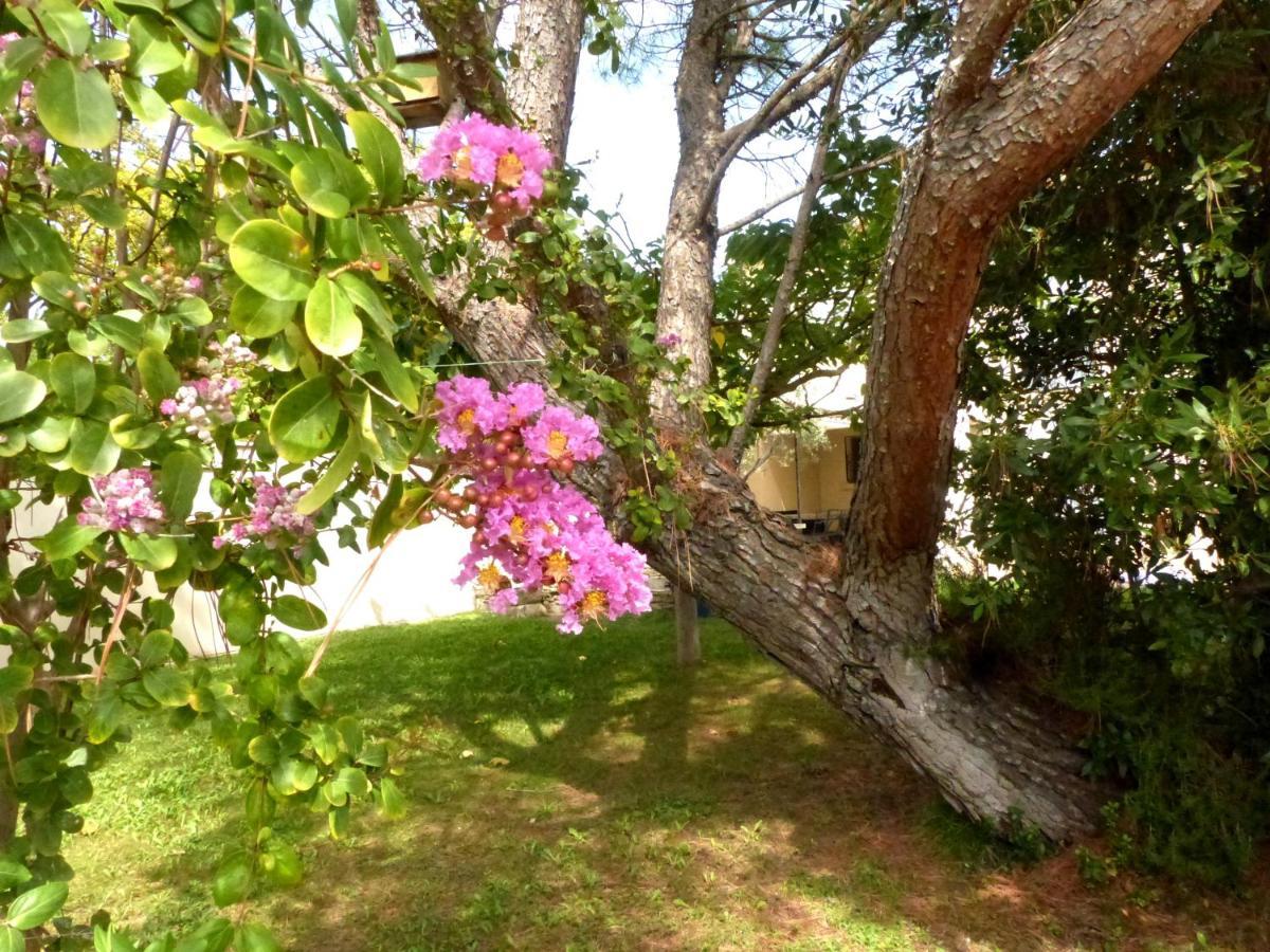 La Quietude De St Antoine - Piscine Privee Villa ลีล-ซูร์-ลา-ซอร์ก ภายนอก รูปภาพ