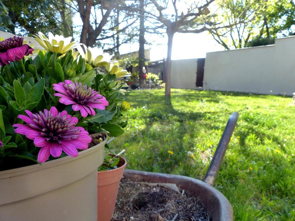 La Quietude De St Antoine - Piscine Privee Villa ลีล-ซูร์-ลา-ซอร์ก ภายนอก รูปภาพ